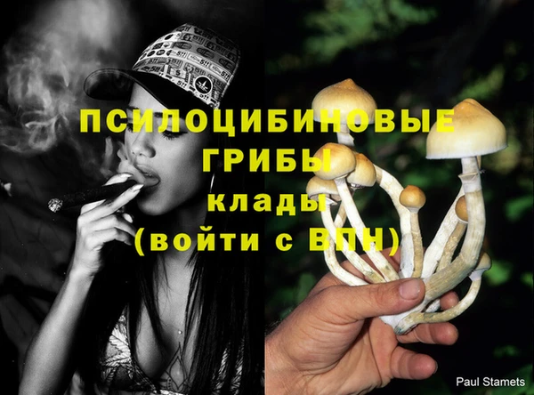 стафф Беломорск
