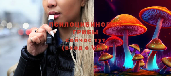 гидропоника Белокуриха